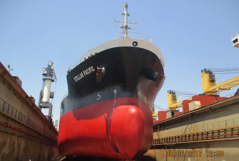 STELLAR PACIFIC Bulk Carrier IMO 9316995 photo 7