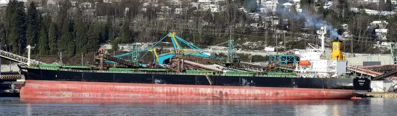 PANSOLAR Bulk Carrier IMO 9317004 photo 4