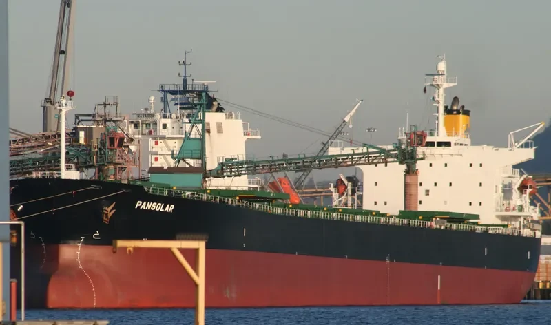 PANSOLAR Bulk Carrier IMO 9317004 photo 6