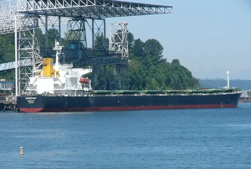 PANSOLAR Bulk Carrier IMO 9317004 photo 8