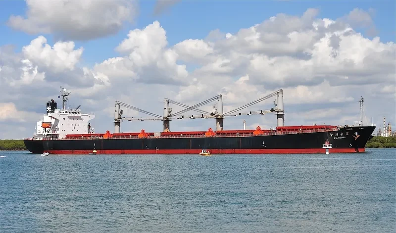 BULK FREEDOM Bulk Carrier IMO 9317092 photo 4