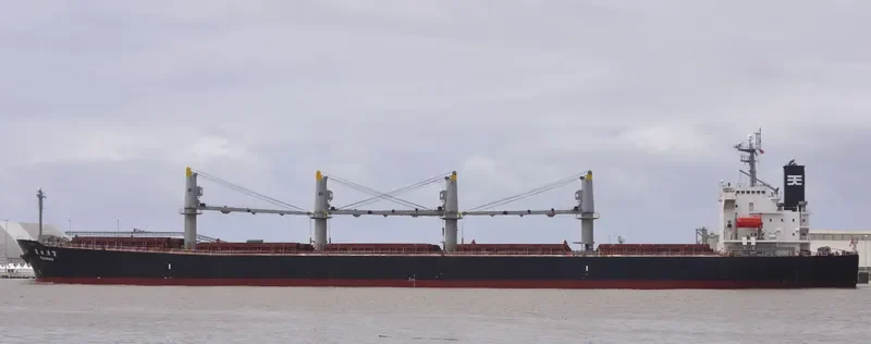 BULK FREEDOM Bulk Carrier IMO 9317092 photo 8