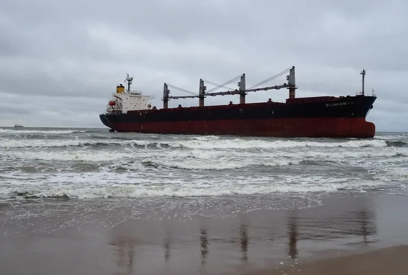 OCEAN CROWN Bulk Carrier IMO 9317107 photo 2