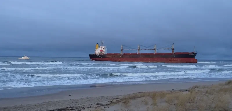 OCEAN CROWN Bulk Carrier IMO 9317107 photo 4
