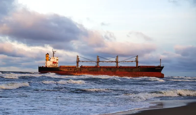 OCEAN CROWN Bulk Carrier IMO 9317107 photo 7