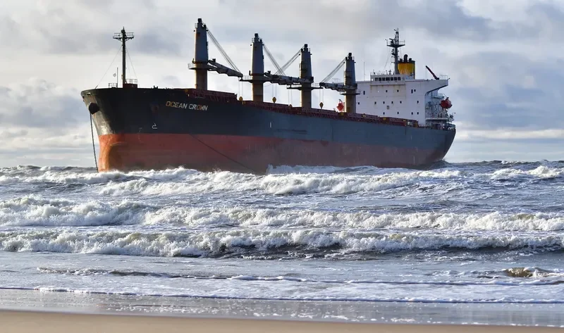 OCEAN CROWN Bulk Carrier IMO 9317107 photo 8