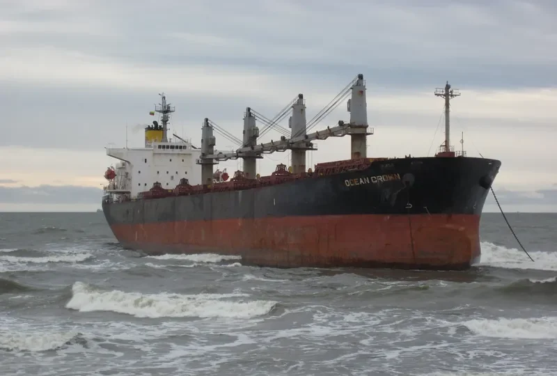 OCEAN CROWN Bulk Carrier IMO 9317107 photo 9