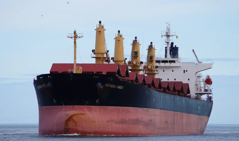 NEWSEAS AMBER Bulk Carrier IMO 9317119 photo 2