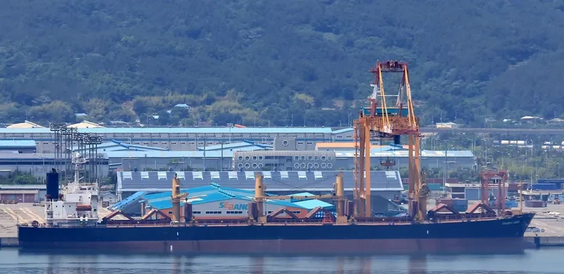 NEWSEAS AMBER Bulk Carrier IMO 9317119 photo 3