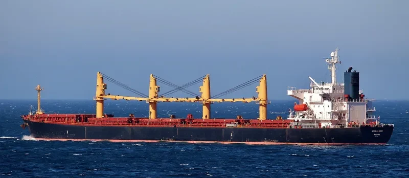 NEWSEAS AMBER Bulk Carrier IMO 9317119 photo 4
