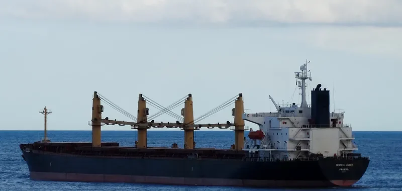 NEWSEAS AMBER Bulk Carrier IMO 9317119 photo 6
