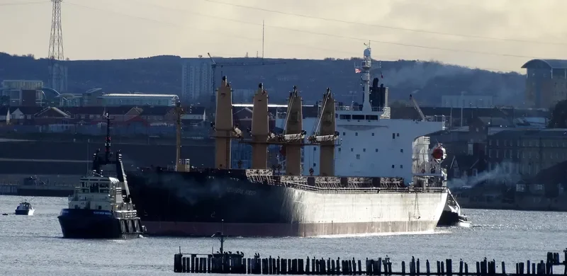 NEWSEAS AMBER Bulk Carrier IMO 9317119 photo 7