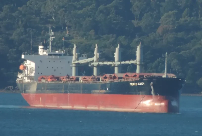 MANALAGI HITA Bulk Carrier IMO 9317121 photo 5