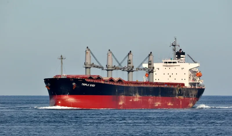 MANALAGI HITA Bulk Carrier IMO 9317121 photo 8