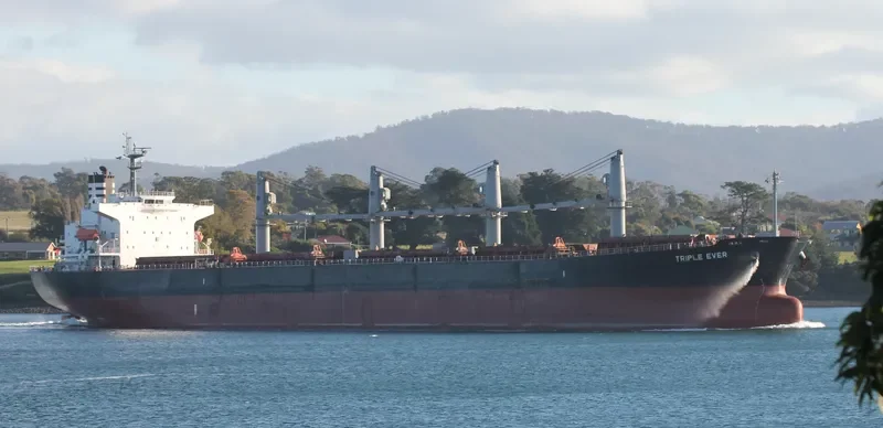 MANALAGI HITA Bulk Carrier IMO 9317121 photo 10