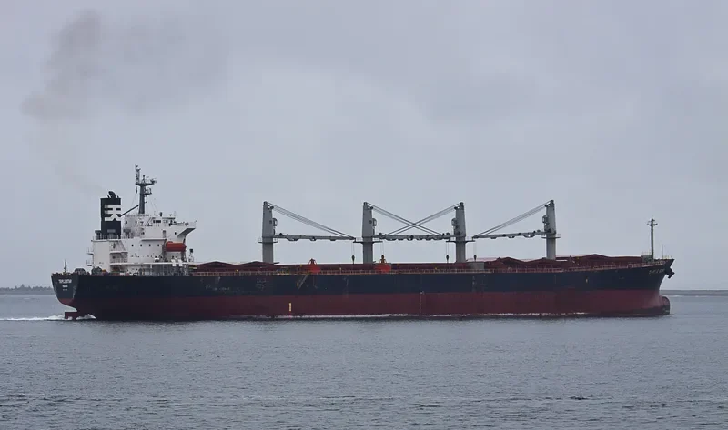 SAMIR Bulk Carrier IMO 9317133 photo 2