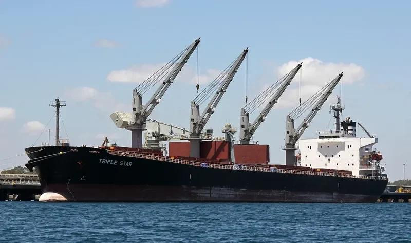 SAMIR Bulk Carrier IMO 9317133 photo 4