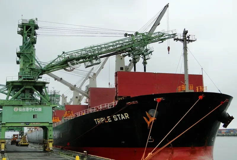 SAMIR Bulk Carrier IMO 9317133 photo 5