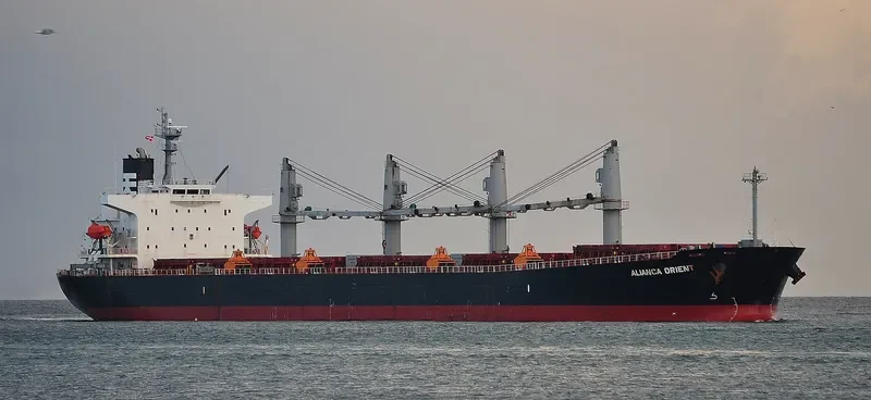 JAG ROOPA Bulk Carrier IMO 9317145