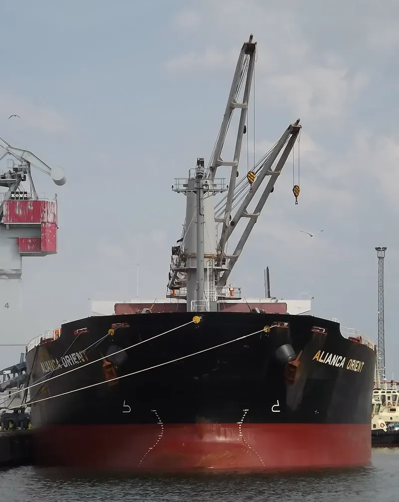 JAG ROOPA Bulk Carrier IMO 9317145 photo 2