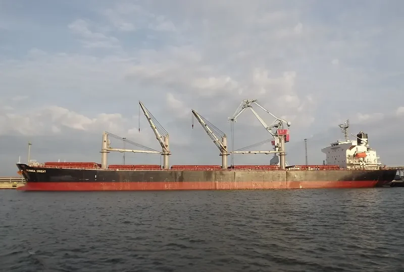 JAG ROOPA Bulk Carrier IMO 9317145 photo 4