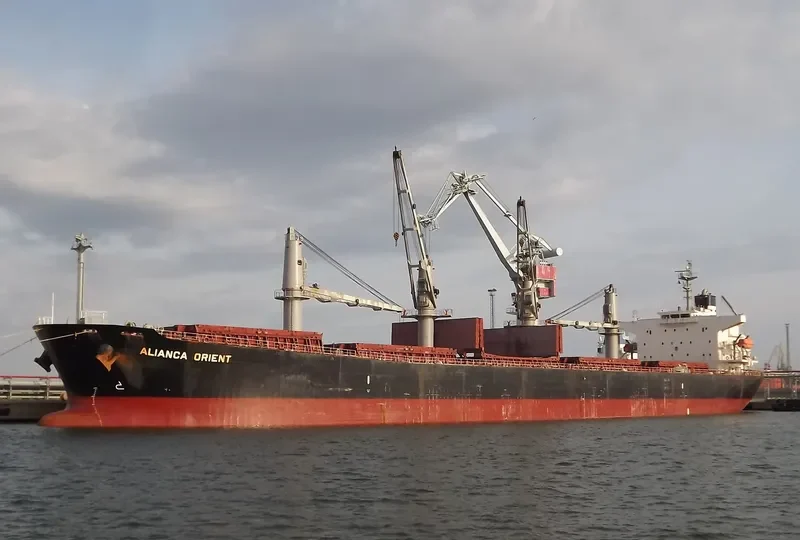 JAG ROOPA Bulk Carrier IMO 9317145 photo 5
