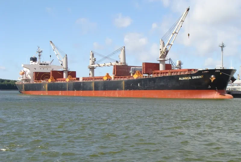 JAG ROOPA Bulk Carrier IMO 9317145 photo 7