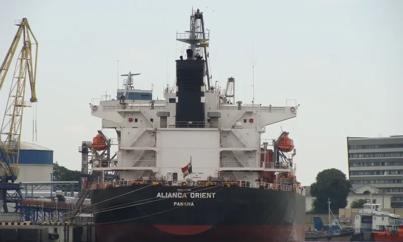 JAG ROOPA Bulk Carrier IMO 9317145 photo 9