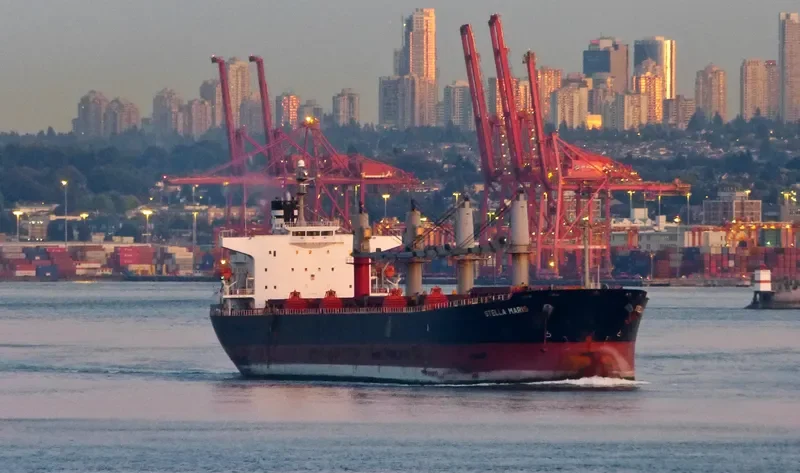 HAI NAM 82 Bulk Carrier IMO 9317157 photo 4