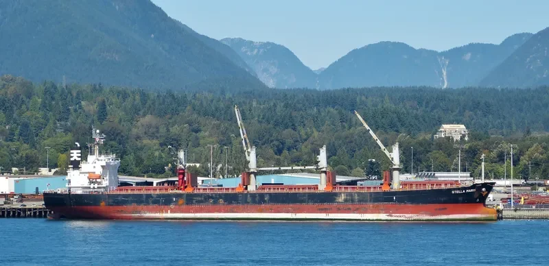 HAI NAM 82 Bulk Carrier IMO 9317157 photo 6