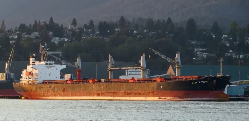 HAI NAM 82 Bulk Carrier IMO 9317157 photo 8