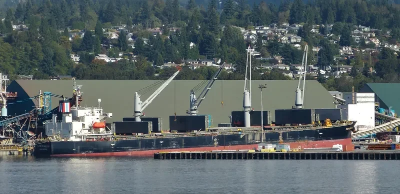 THOR FEARLESS Bulk Carrier IMO 9317341 photo 5