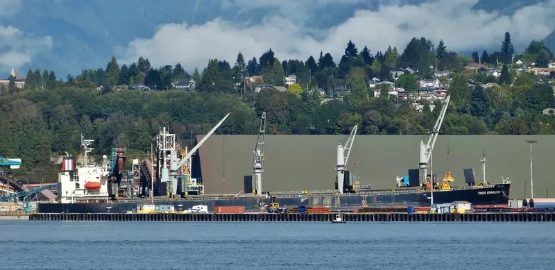 THOR FEARLESS Bulk Carrier IMO 9317341 photo 6