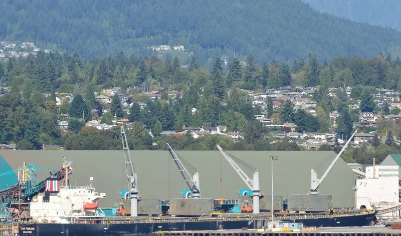 THOR FEARLESS Bulk Carrier IMO 9317341 photo 7