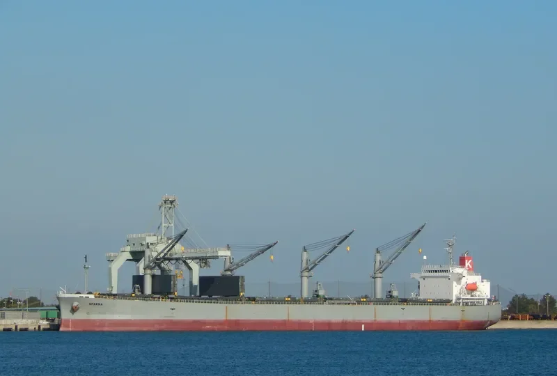 SPARNA Bulk Carrier IMO 9317353 photo 2