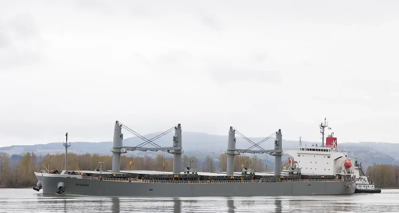 SPARNA Bulk Carrier IMO 9317353 photo 3