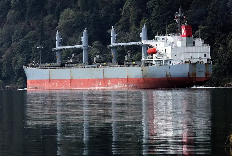 SPARNA Bulk Carrier IMO 9317353 photo 5