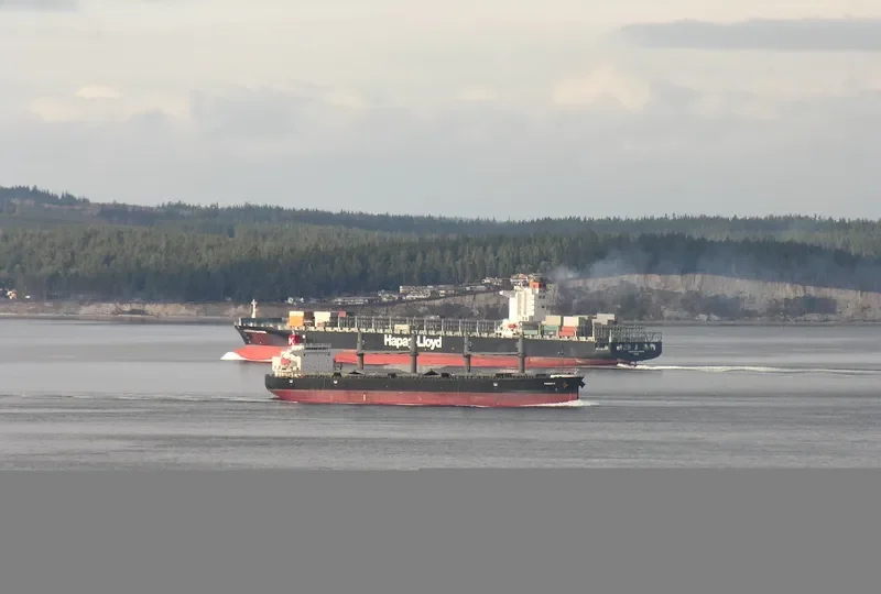 PHOENIX K Bulk Carrier IMO 9317365 photo 8