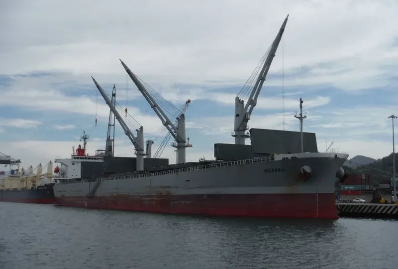 SUZAKU Bulk Carrier IMO 9317377 photo 3
