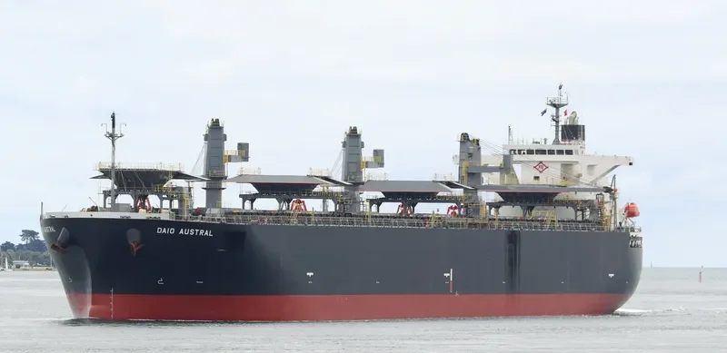 DAIO AUSTRAL Bulk Carrier IMO 9317391 photo 2