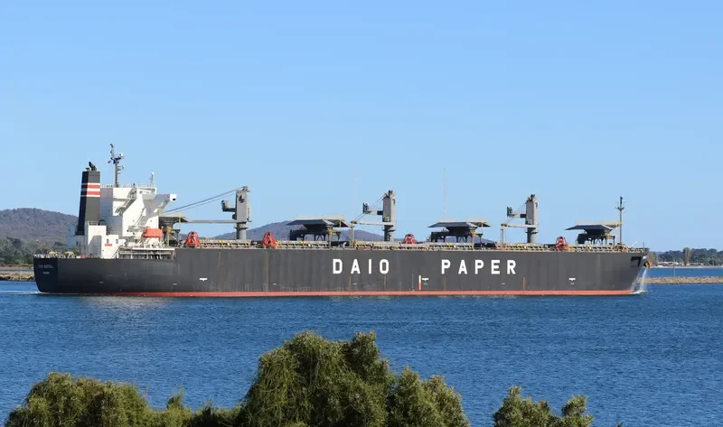 DAIO AUSTRAL Bulk Carrier IMO 9317391 photo 8
