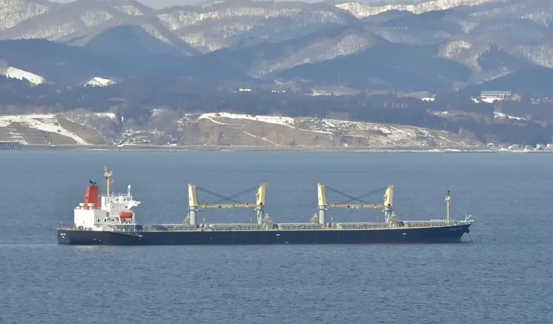 HAYAMA STAR Bulk Carrier IMO 9317420 photo 3