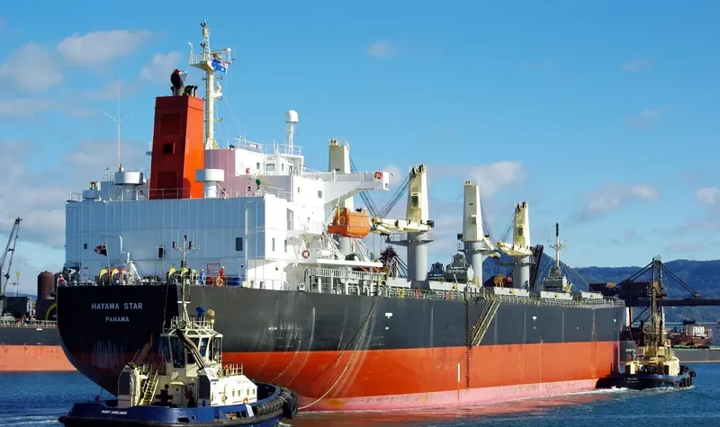 HAYAMA STAR Bulk Carrier IMO 9317420 photo 6