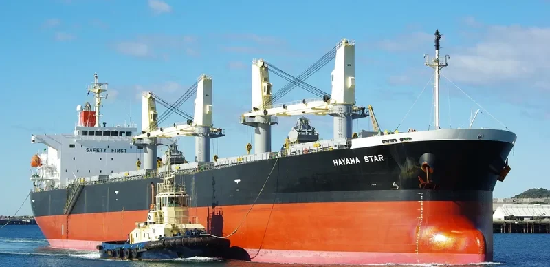 HAYAMA STAR Bulk Carrier IMO 9317420 photo 7