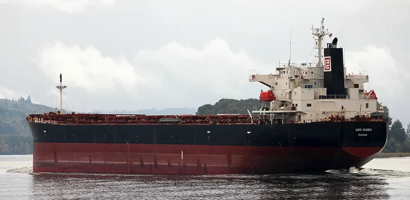 AGRI QUEEN Bulk Carrier IMO 9317468 photo 4