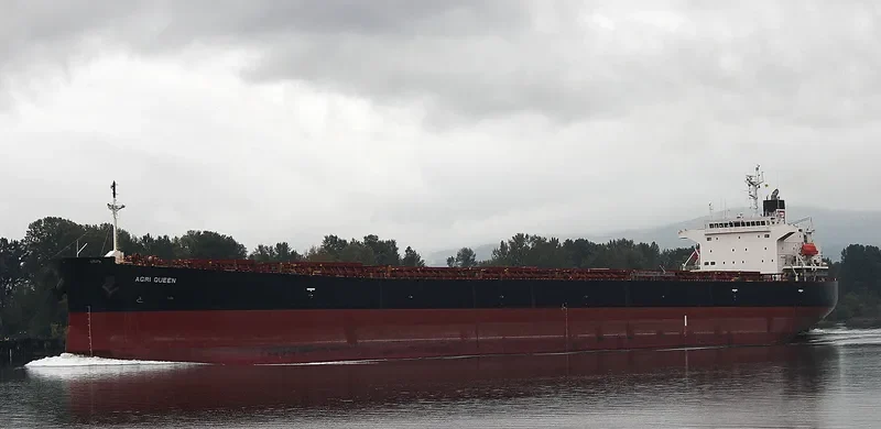 AGRI QUEEN Bulk Carrier IMO 9317468 photo 6