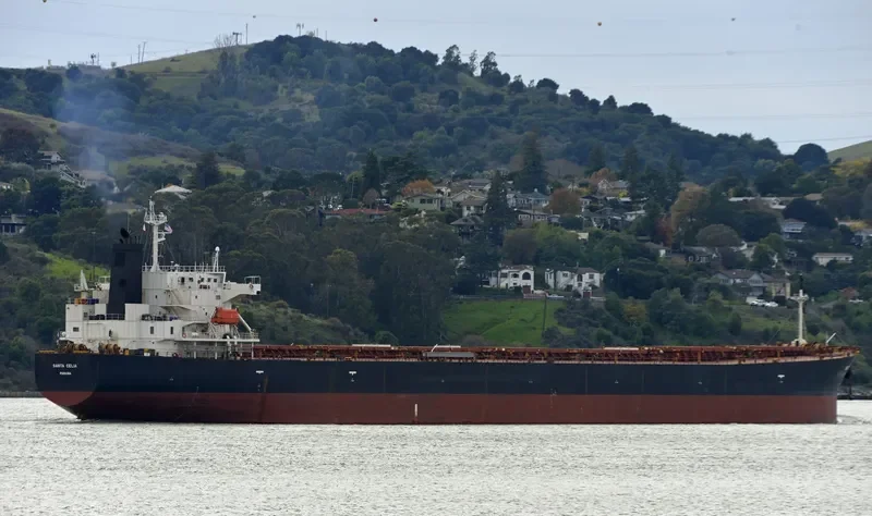 AGRI QUEEN Bulk Carrier IMO 9317468 photo 8