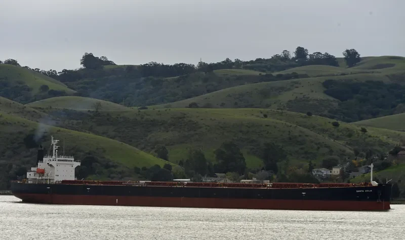 AGRI QUEEN Bulk Carrier IMO 9317468 photo 9