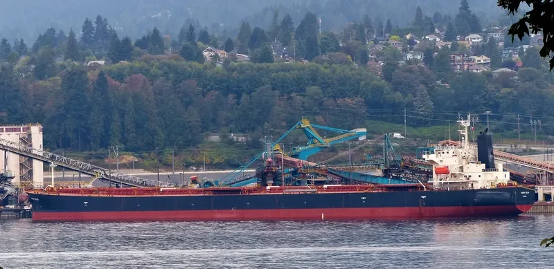 AGRI QUEEN Bulk Carrier IMO 9317468 photo 10
