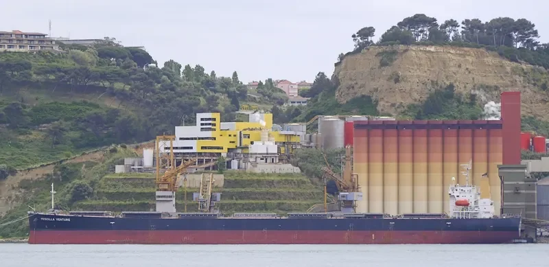 PRISCILLA VENTURE Bulk Carrier IMO 9317470 photo 4